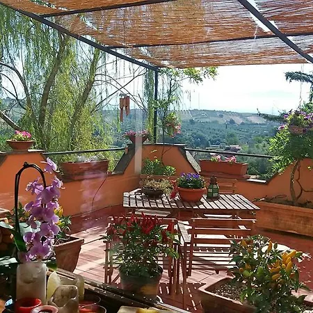 La Farfallasulcomo